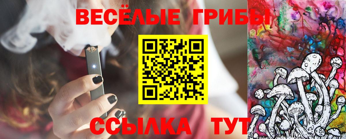 Псилоцибиновые грибы MAGIC MUSHROOMS Тула